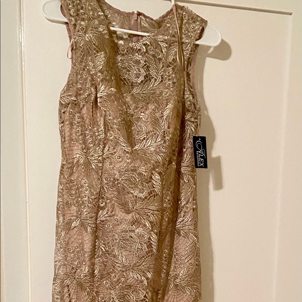 Alex evenings long dress